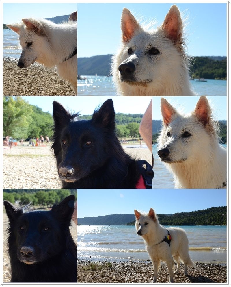 vacances-2014145.jpg